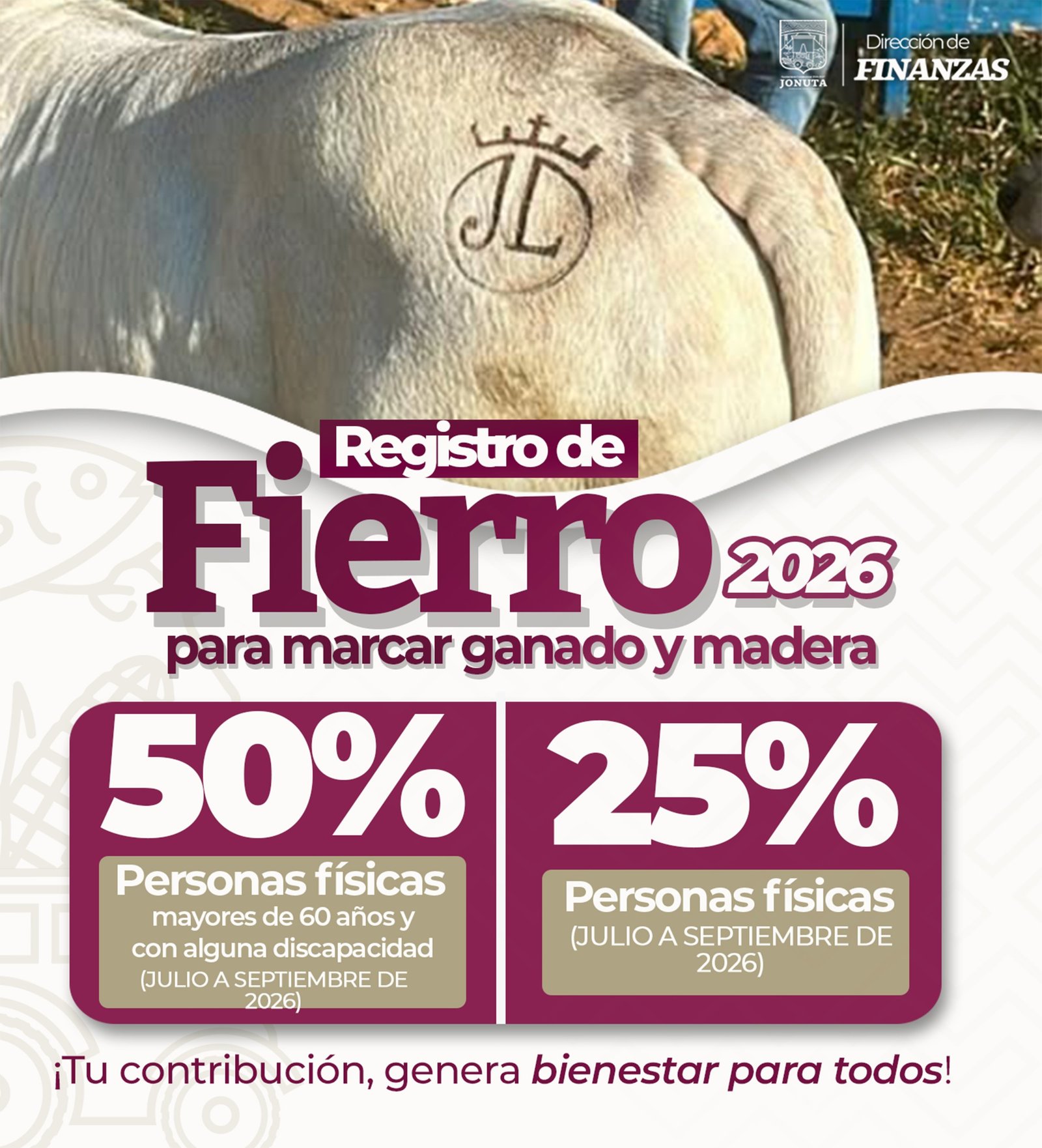 Fierros