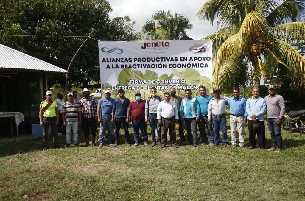 Nuevas alianzas entre productores jonutecos y Charricos